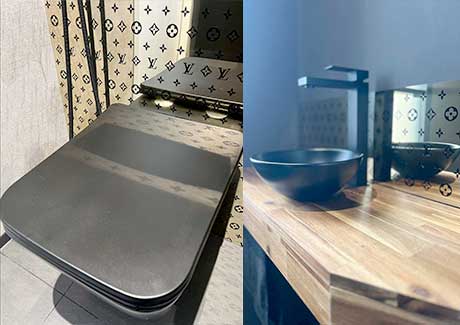 Toilet Louis Vuitton